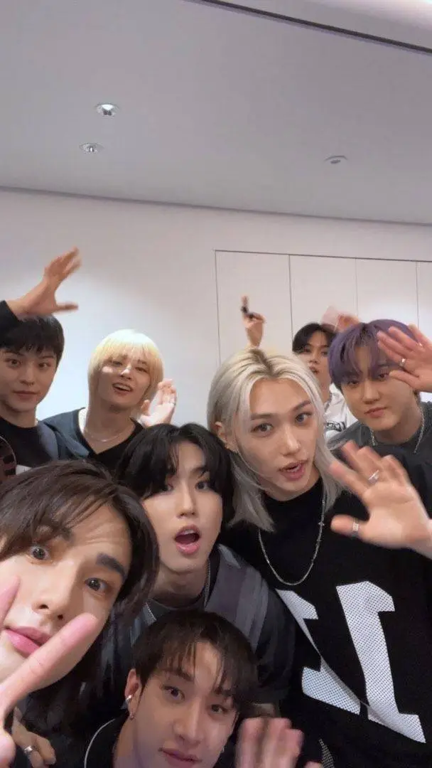 ai character: stray kids  background