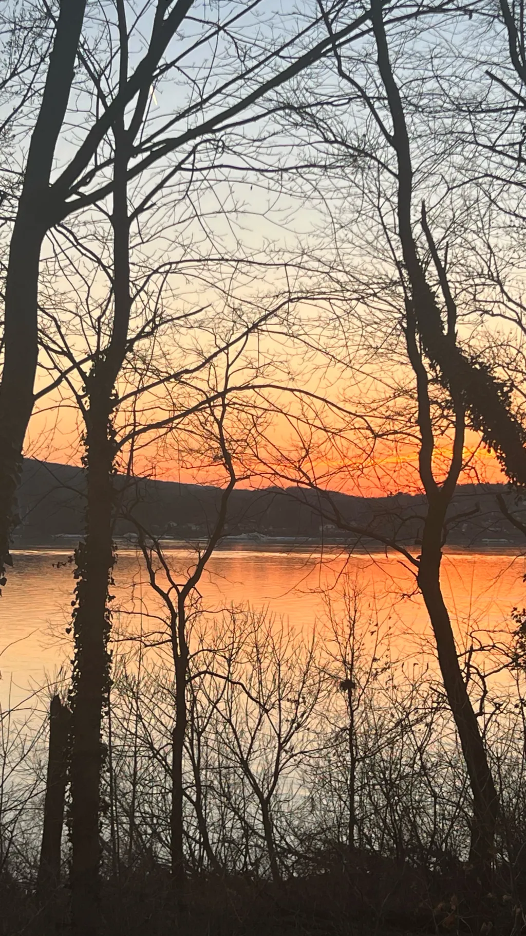 Talkie AI - Chat with Picnic