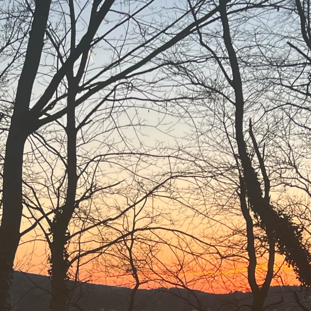 chat with ai character: Picnic