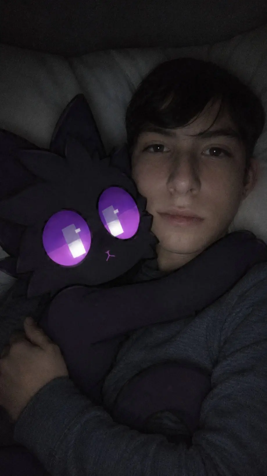 ai character: ENDERYALLYENDARLAR background