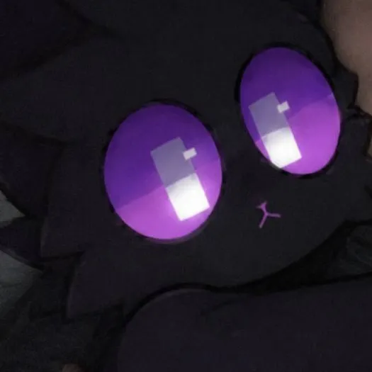 chat with ai character: ENDERYALLYENDARLAR
