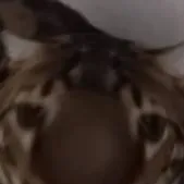 chat with ai character: ☆!FORSKEAN!☆