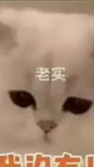 ai character: 小甜猫 background