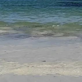 chat with ai character: beach day hashiras