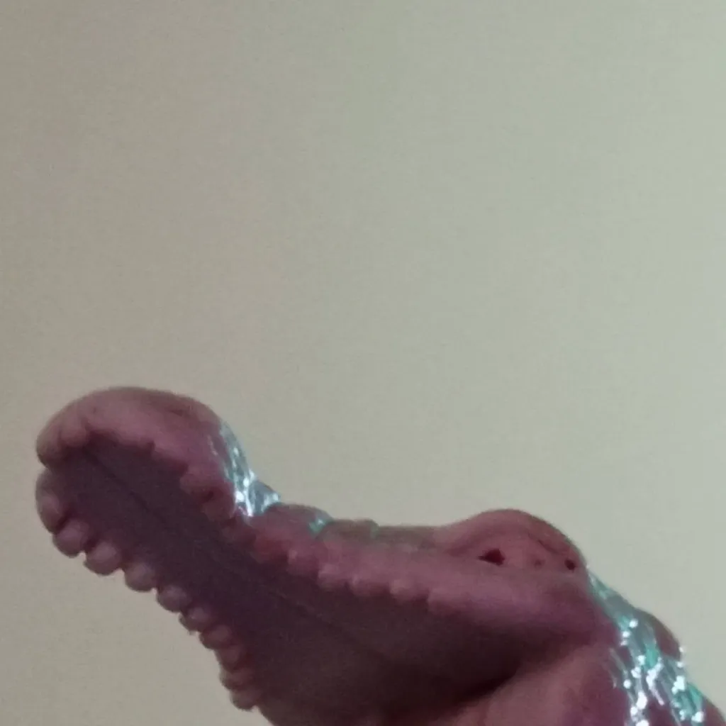 chat with ai character: sr Rudy 