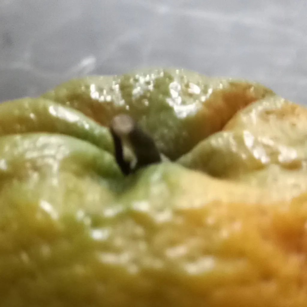 chat with ai character: Laraja