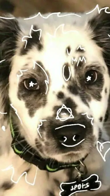 ai character: therian dálmata  background