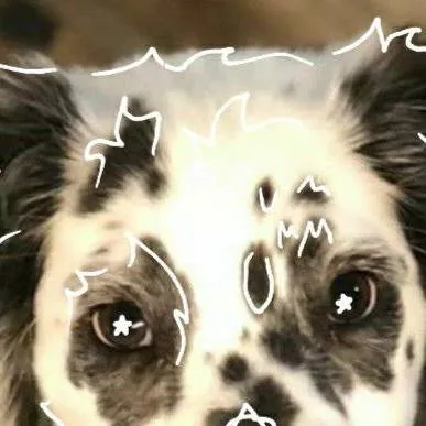 chat with ai character: therian dálmata 