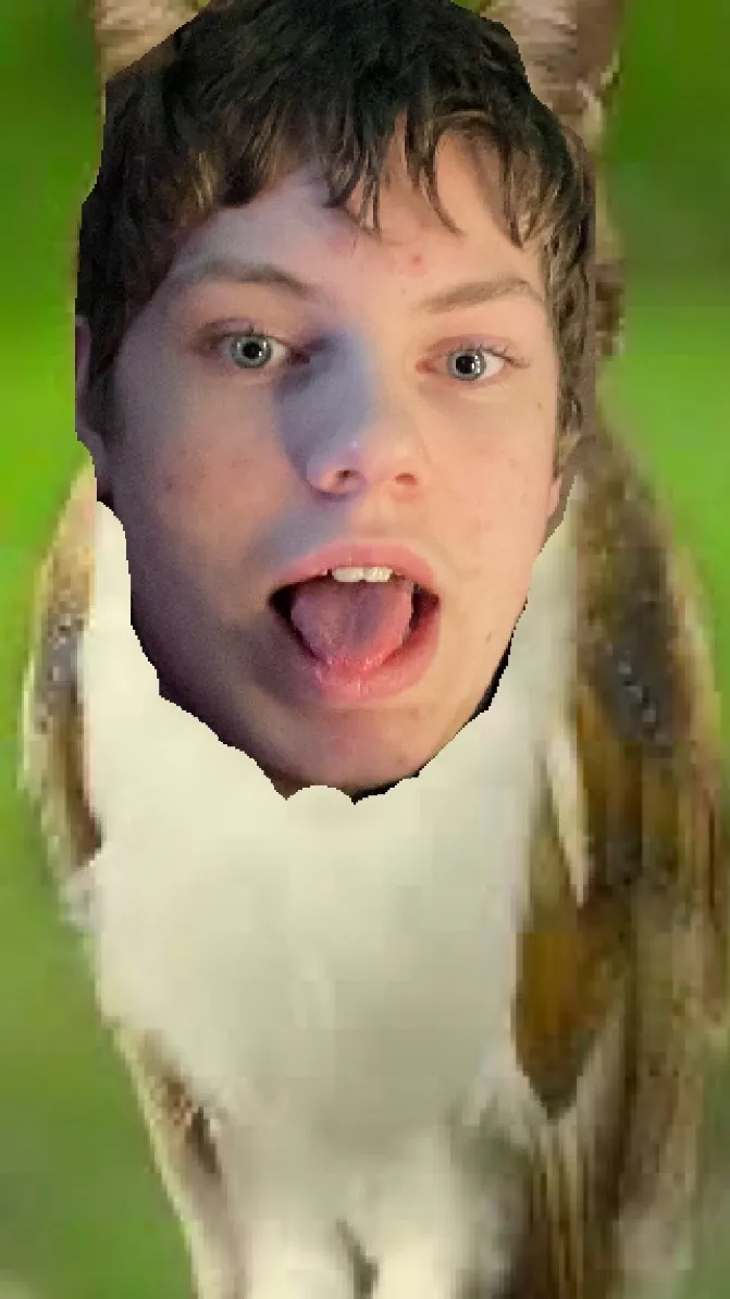 ai character: Meowl Tyler background