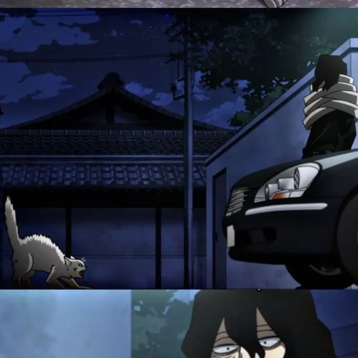 chat with ai character: Aizawa ~ Cat 