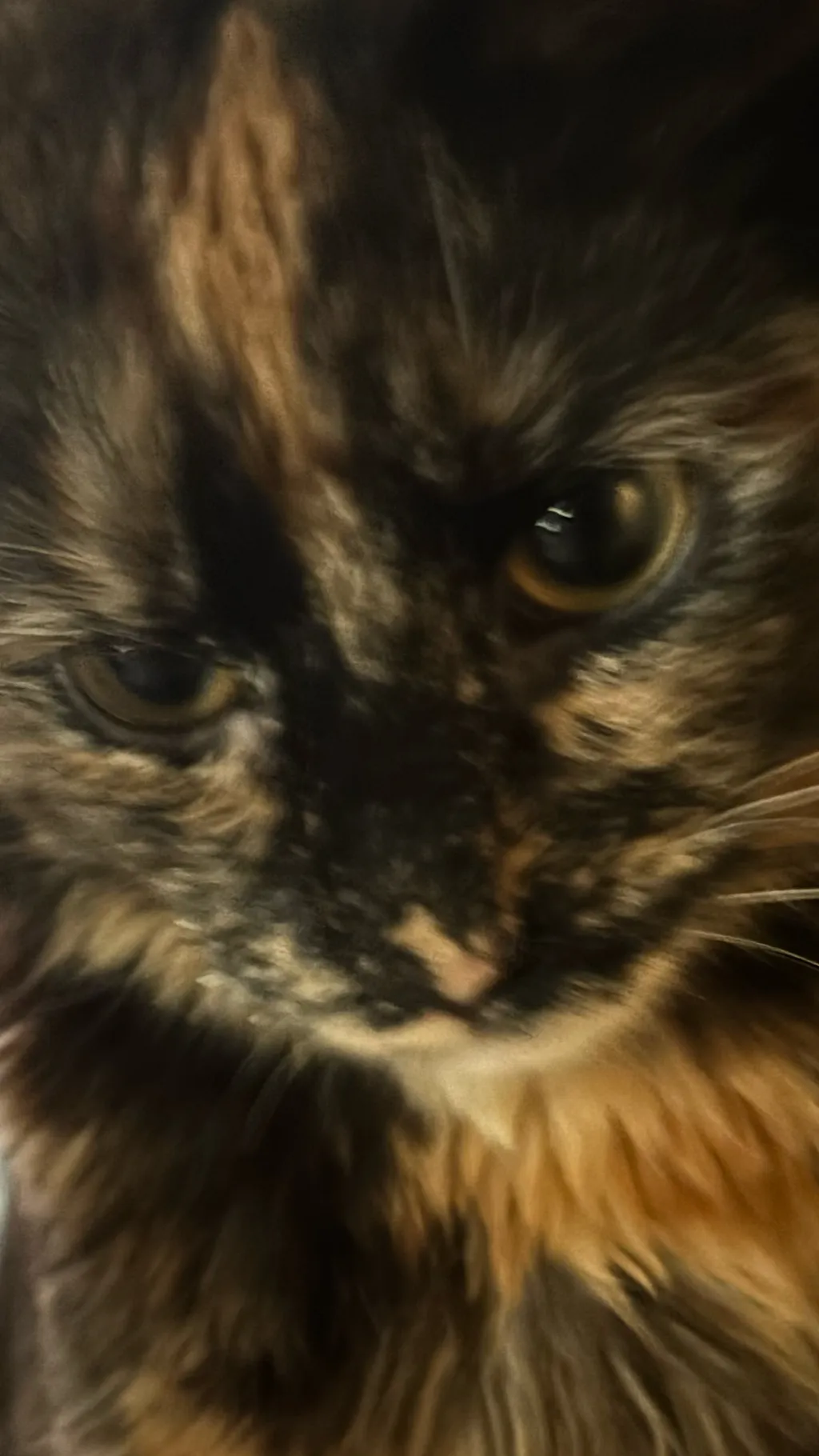 ai character: Cinnamon/evil kitt background