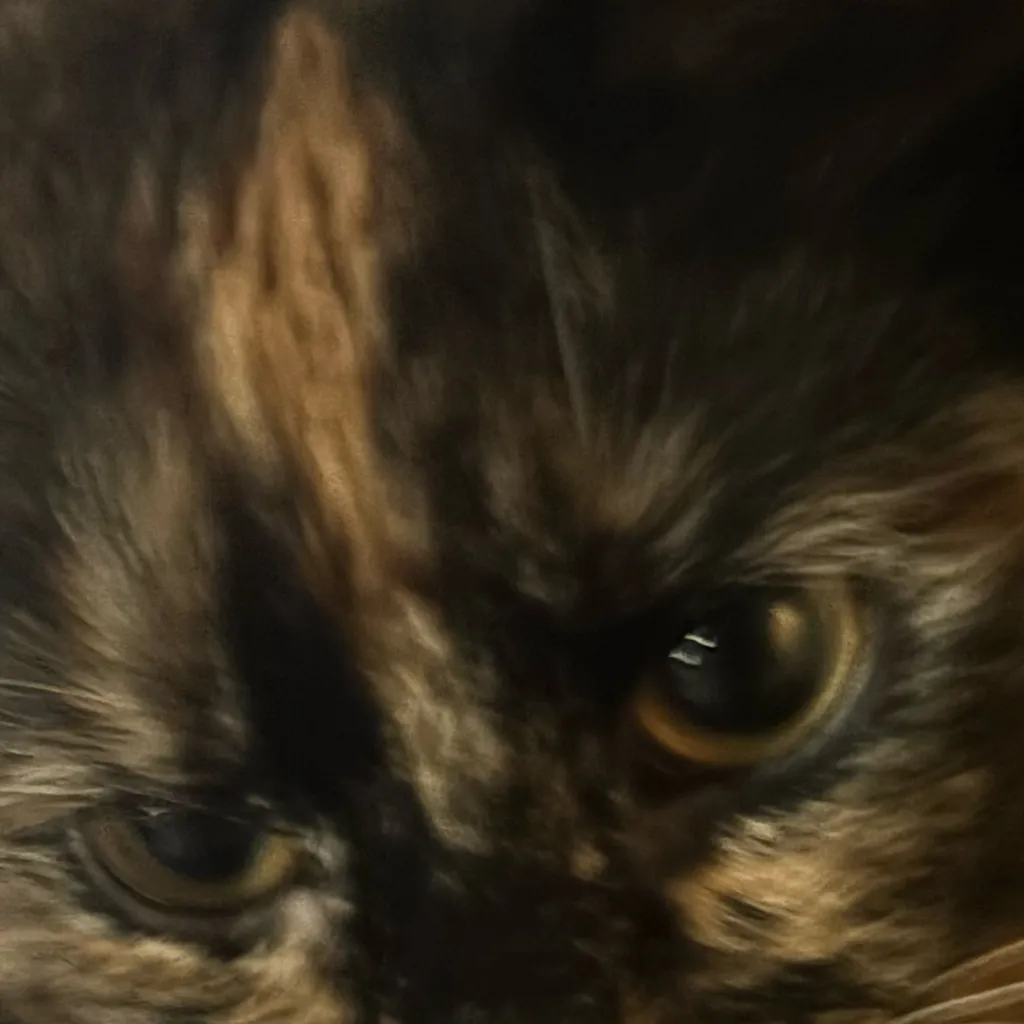 chat with ai character: Cinnamon/evil kitt