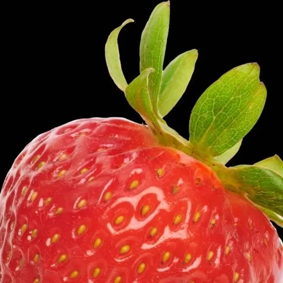 chat with ai character: a strawberry
