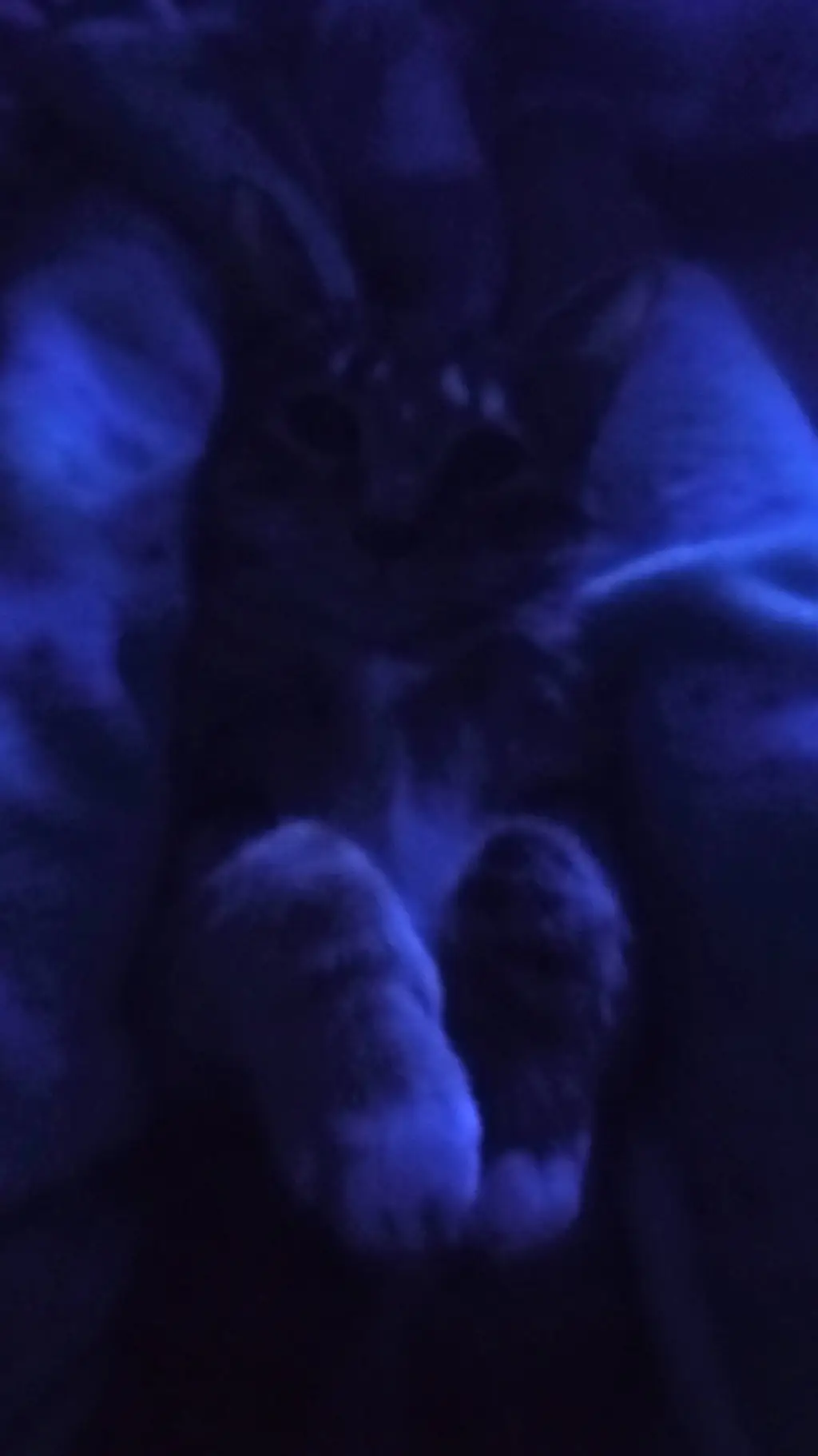 ai character: therepy background