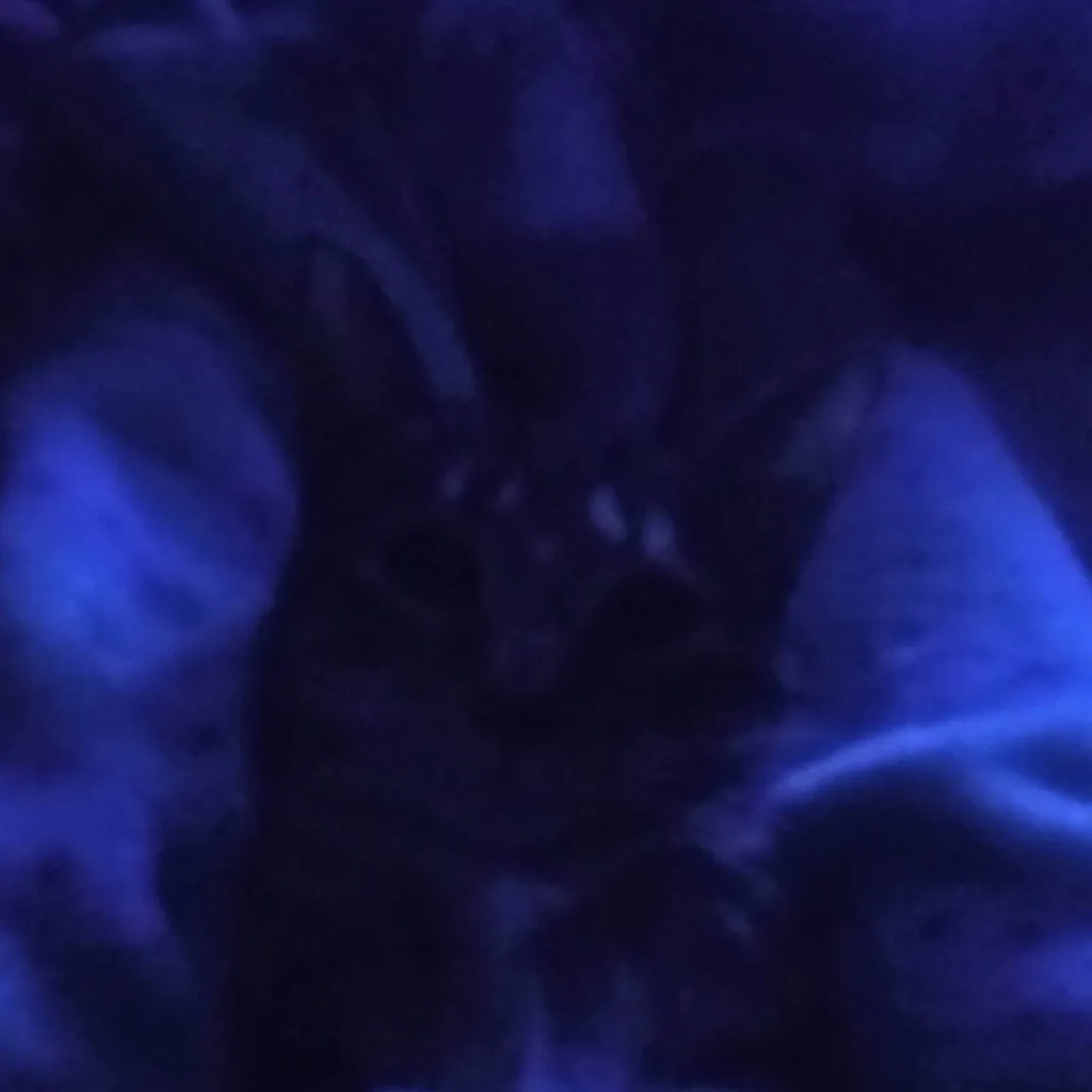 chat with ai character: therepy