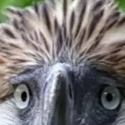 chat with ai character: CH horror