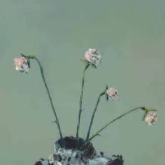 chat with ai character: EATEOT Stage 2