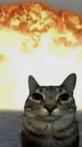 ai character: gato background