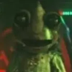 chat with ai character: Cammy chameleon 