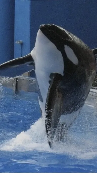 ai character: Seaworld Orlando! background