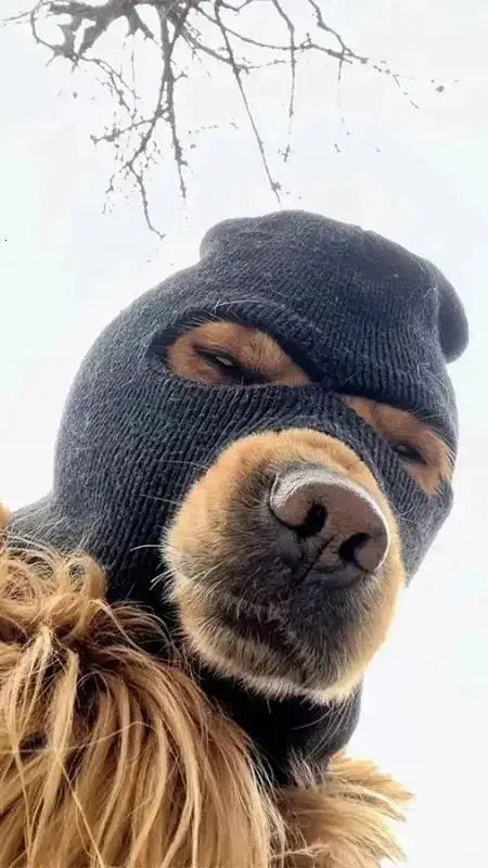 ai character: un perro background