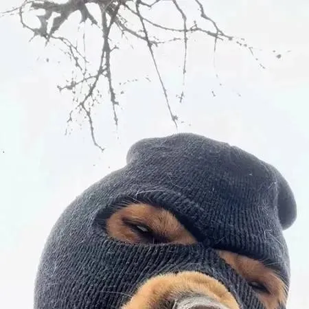 chat with ai character: un perro