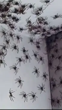 ai character: spiders background