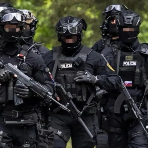 chat with ai character: Police