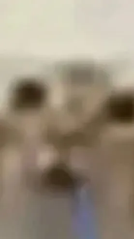ai character: droolin cat background