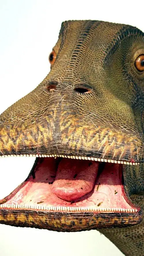 ai character: Nigersaurus background