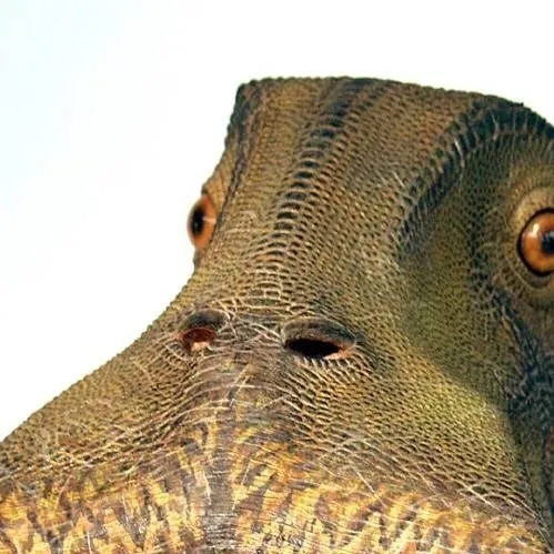 chat with ai character: Nigersaurus