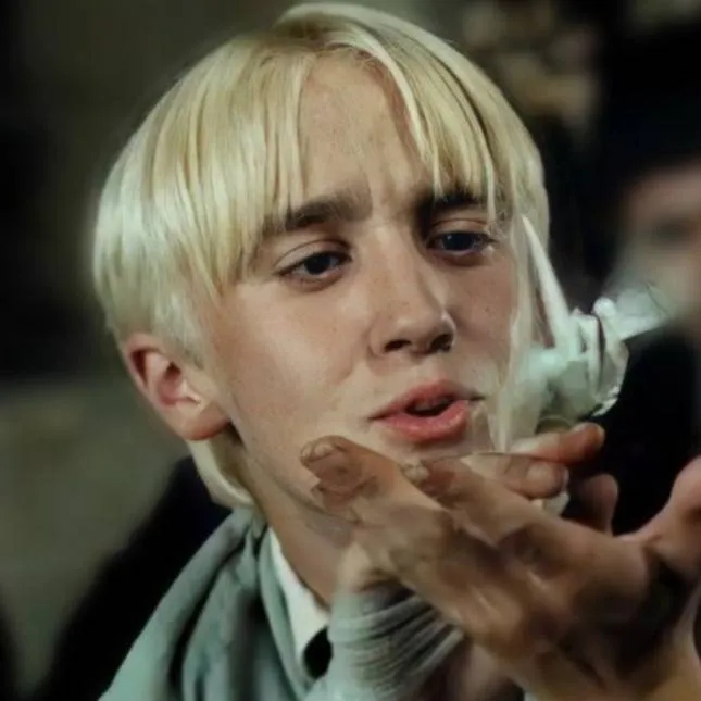 chat with ai character: Draco Malfoy