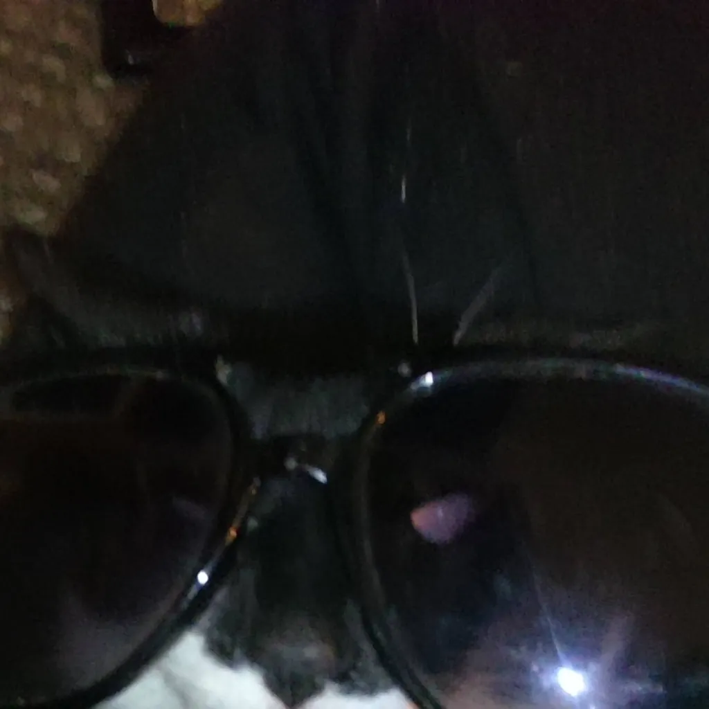 chat with ai character: Dreamy the cat