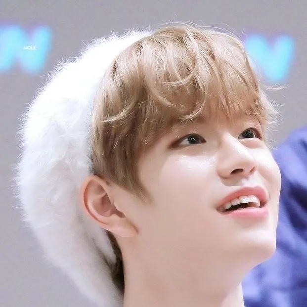 chat with ai character: Stray Kids