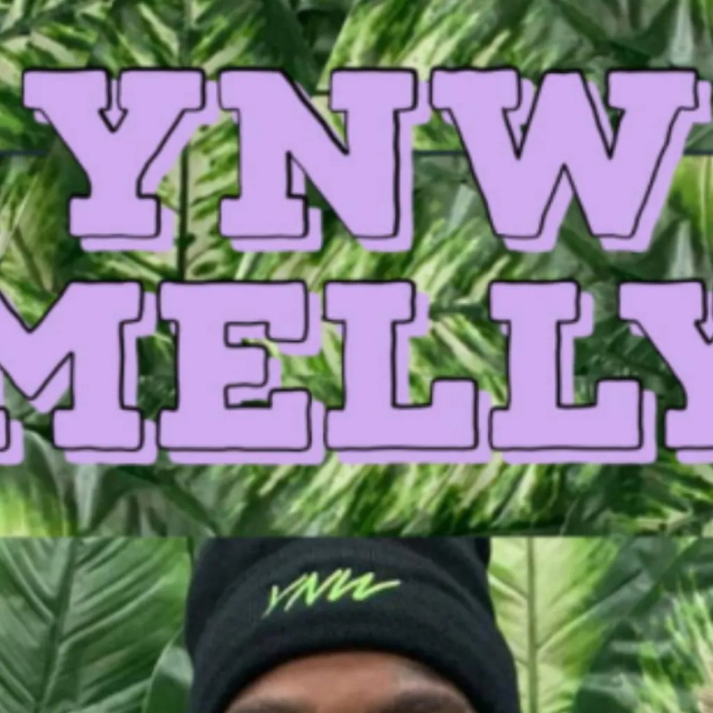 chat with ai character: Ynw melly