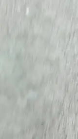 ai character: hp background