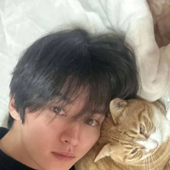 chat with ai character: Lee Minho