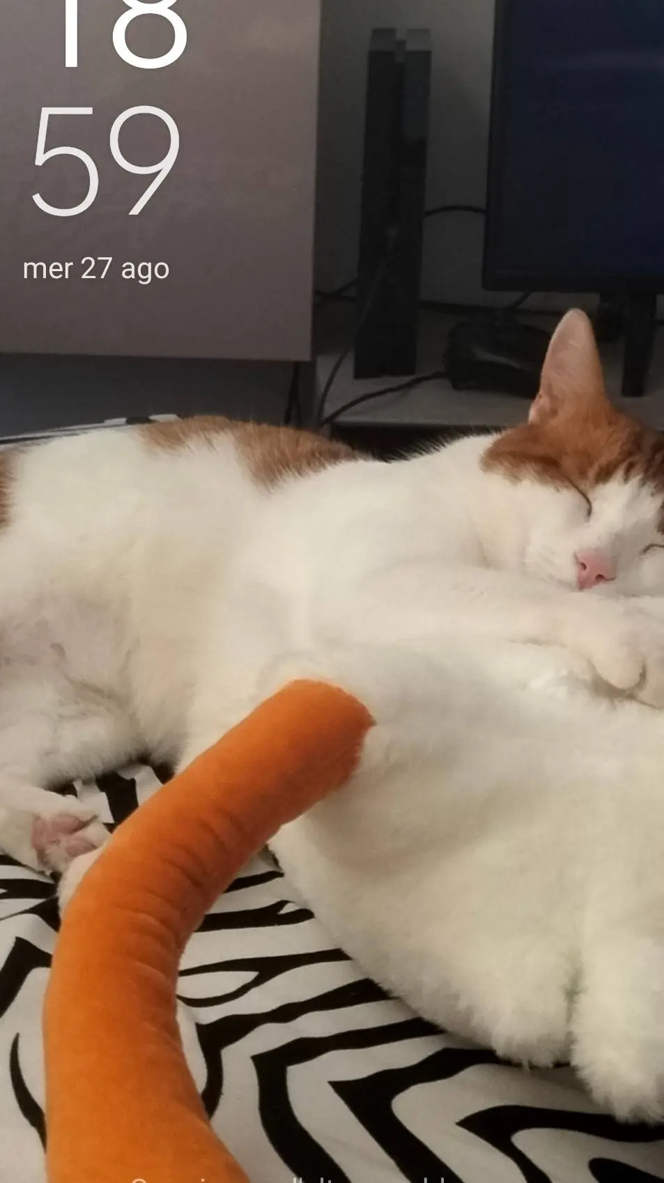 ai character: MLP arguing.. background