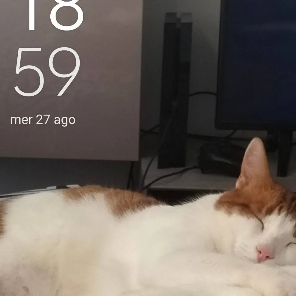 chat with ai character: MLP arguing..