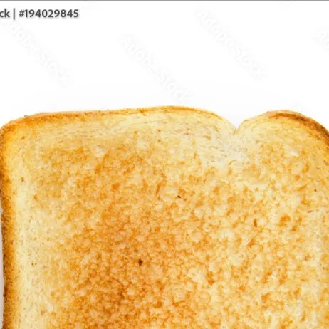 chat with ai character: Toast 