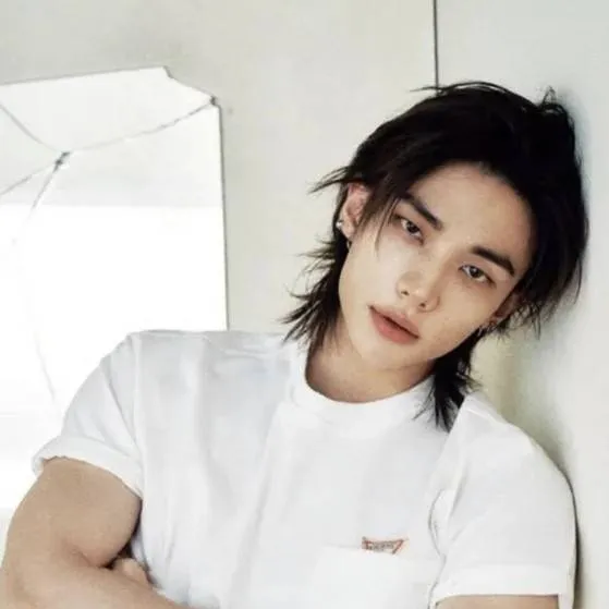 chat with ai character: Hyunjin-tu papá