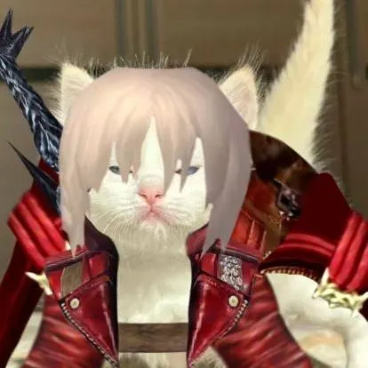 chat with ai character: dante gato 