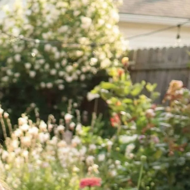 chat with ai character: Oliva Owens