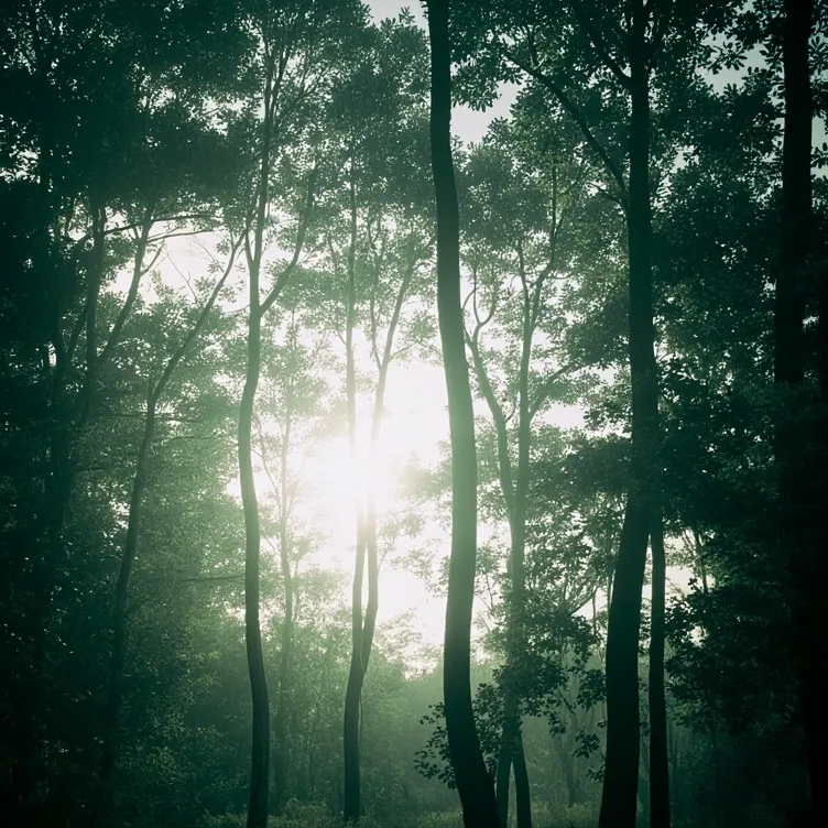 chat with ai character: Fnaf x Godzilla AU