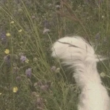 chat with ai character: кэри