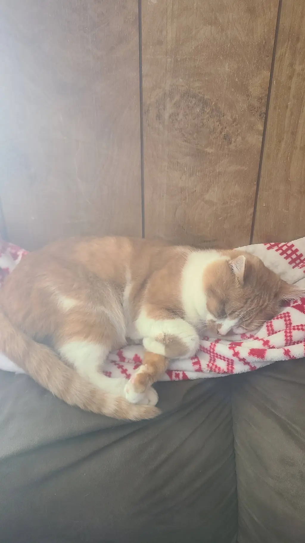 Talkie AI - Chat with Sprunki hates you