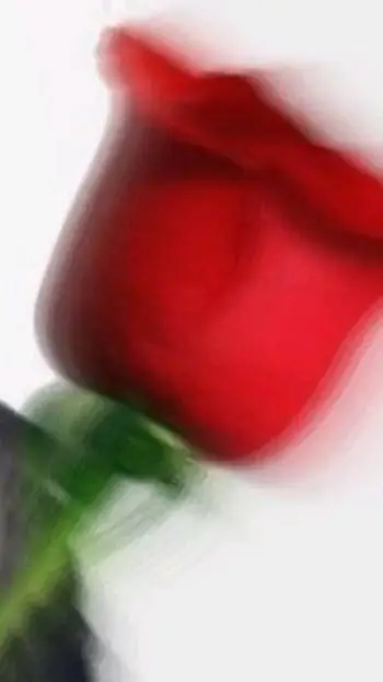 ai character: Alfredo  background