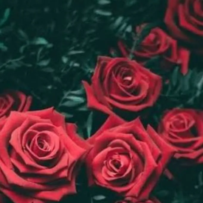 chat with ai character: científico 