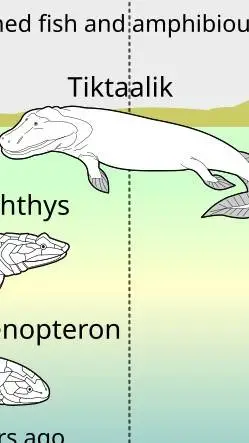 ai character:  Tiktaalik background