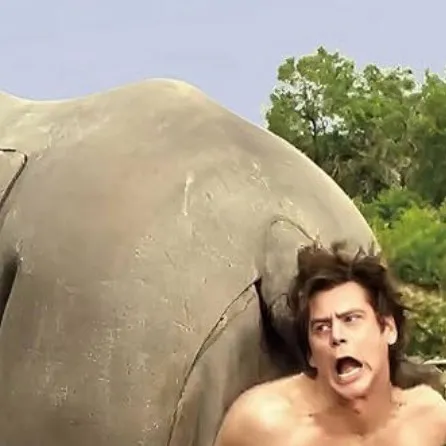 chat with ai character: Ace Ventura